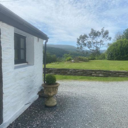 Fron Goch Cottage Dolwyddelan Zewnętrze zdjęcie
